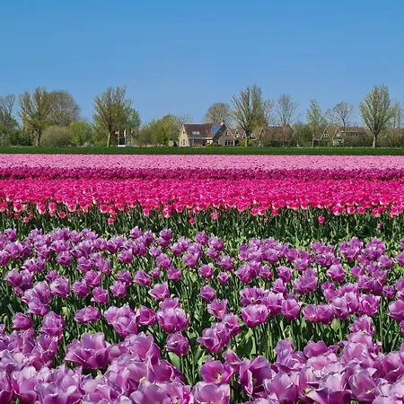 Aan Meertje Op Recreatiepark De Wielen - 85 Casa de Férias *