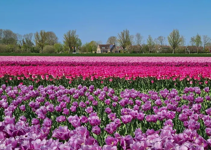 Aan Meertje Op Recreatiepark De Wielen - 85 بيت للعطل *